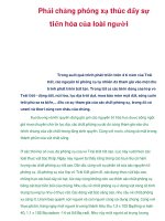 Phải chăng phóng xạ thúc đẩy sự tiến hóa của loài người pps