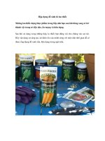 Hộp đựng đồ xinh từ lon thiếc pot