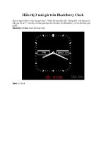Hiển thị 2 múi giờ trên BlackBerry Clock pdf