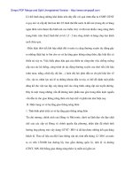 Thúc đẩy đầu tư phát triển hạ tầng giao thông nông thôn Việt Nam - 4 docx