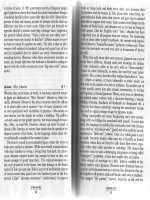 womansword what japanese words say about women phần 4 potx