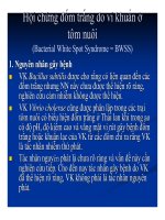 Bệnh học thủy sản : Bệnh do vi khuẩn part 9 potx