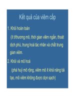 Bài giảng bệnh học viêm part 8 potx