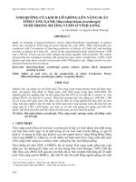 Báo cáo nghiên cứu khoa học: 