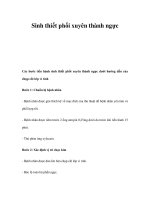 Sinh thiết phổi xuyên thành ngực doc