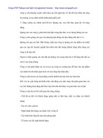 Giải pháp Marketing đồng bộ cho Bảo hiểm nhân thọ Bắc Giang - 5 pptx