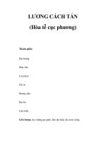 LƯƠNG CÁCH TÁN (Hòa tễ cục phương) potx