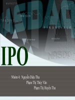 Bài thuyết trình IPO pdf