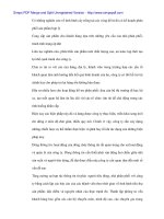 Thực trạng và giải pháp hoàn thiện phân phối thị trường thuốc Bảo vệ Thực vật - 7 docx