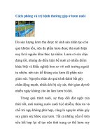 Cách phòng và trị bệnh thường gặp ở lươn nuôi pptx