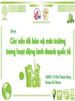 Các vấn đề bảo vệ môi trường trong các hoạt động kinh danh quốc tế