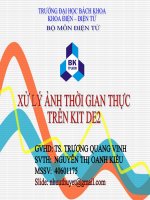 Đề tài: Xử lý ảnh thời gian thực trên KIT DE2 pdf