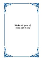 Khái quát quan hệ pháp luật dân sự docx