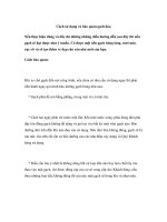 Cách sử dụng và bảo quản gạch hoa pptx