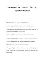 HỢP ĐỒNG CÓ ĐỐI TƯỢNG LÀ CÔNG VIỆC – HỢP ĐỒNG BẢO HIỂM pot