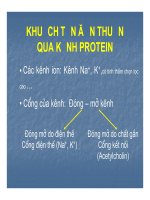 Bài giảng trao đổi chất qua màng tế bào part 3 ppt