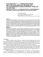 Báo cáo nghiên cứu khoa học: 