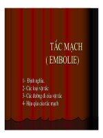 Giải phẫu bệnh - Tắc mạch ( Embolie) part 1 docx
