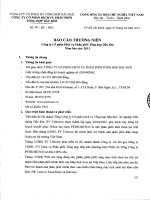 báo cáo thường niên công ty cổ phần dịch vụ phân phối dầu khí năm 2013