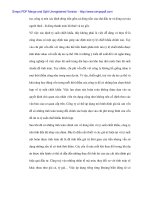 Thẩm định tài chính dự án tại Cty cho thuê tài chính - 7 pot