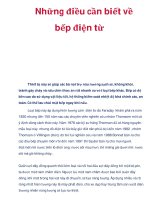 Những điều cần biết về bếp điện từ pps