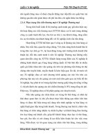 Giáo trình hướng dẫn tìm hiểu về sự hình thành của nền kinh tế thương mại Việt Nam từ những thập kỷ 90 phần 4 pps