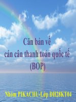 Căn bản về cán cân thanh toán quốc tế(BOP)