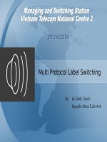 Kiến thức về mạch nhãn đa giao thức