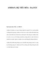 AMIDAN, HỆ TIÊU HÓA - DẠ DÀY docx
