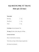 ĐẠI HOÀNG PHỤ TỬ THANG (Kim quỹ yếu lược) ppt