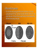 cảm biến và thiết bị chấp hành phần 6 pps