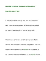 Describe the sights, sound and smells along ppt