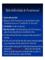 Bệnh học thủy sản : Bệnh do vi khuẩn part 4 potx