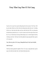 Truy Tầm Ung Thư Cổ Tử Cung doc