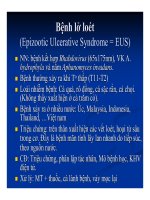 Bệnh học thủy sản : Bệnh do virus part 3 ppsx