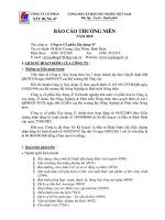 CÔNG TY cổ PHẦN xây DỰNG 47 báo cáo THƯỜNG NIÊN năm 2010