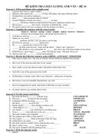 ĐỀ KIỂM TRA CHẤT LƯỢNG ANH VĂN – ĐỀ 14 potx