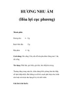 HƯƠNG NHU ẨM (Hòa lợi cục phương) doc