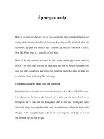 Áp xe gan amíp pot