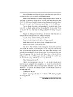 Giáo trình phân tích khả năng giải trình tình hình tài chính theo luồng tiền tăng giảm p6 ppt