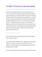 Thủ thuật sử dụng máy tính: Cơ Bản Về Torrent và cách download... ppt