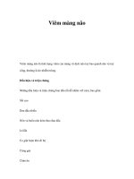 Viêm màng não ppt