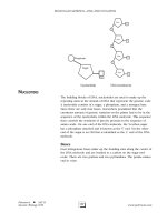 SAT II Biology Episode 1 Part 7 docx