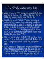 Bệnh học thủy sản : ĐỊNH NGHĨA, ĐẶC ĐIỂM VÀ PHÂN LOẠI BỆNH Ở ĐỘNG VẬT part 4 ppsx