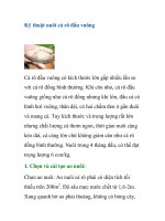 Kỹ thuật nuôi cá rô đầu vuông potx