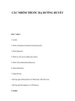 CÁC NHÓM THUỐC HẠ ĐƯỜNG HUYẾT pdf