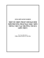 skkn một số biện pháp chỉ đạo đổi mới phương pháp dạy học mônđ