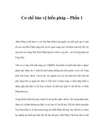 Cơ chế bảo vệ hiến pháp – Phần 1 pptx