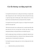 Các tổn thương van động mạch chủ pps