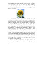 Thiết kế bài giảng âm nhạc 6 part 7 pot